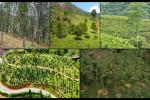 Spicing Up Plantations : How Sri Lanka’s RPCs Are Cultivating Resilience Through Crop Diversification