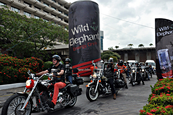 wild-elephant-powers-harley-davidson-street-thunder-2