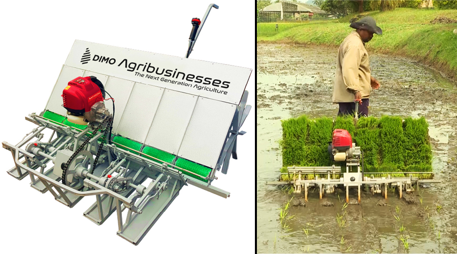 DIMO unveils Pela Batta the first and only paddy transplanting machine in Sri Lanka to maintain an 8 inch gap between seedling rows