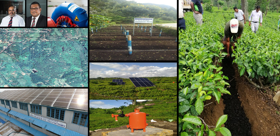 Elpitiya Plantations blends legacy and innovation in unique sustainability roadmap