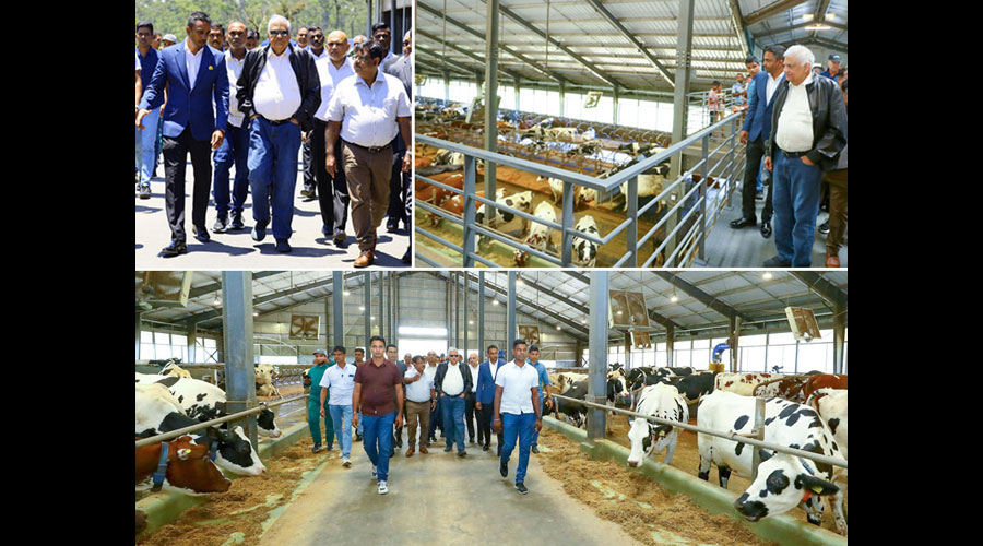 President s Visit Ignites Ambewela Dairy Farm s Next Big Leap in Milk Production