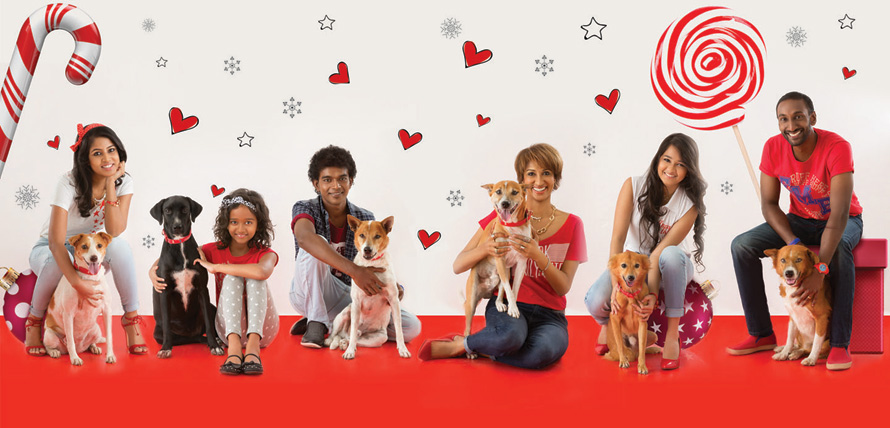 Embark Christmas 2015