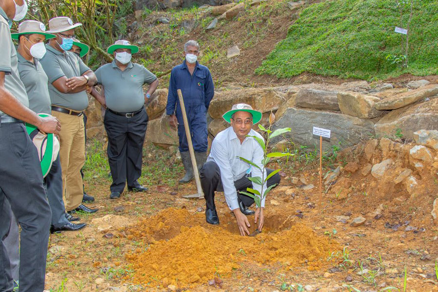 Hayleys Fabric drives biodiversity regeneration with Diyathuru Uyana Wetlands Park