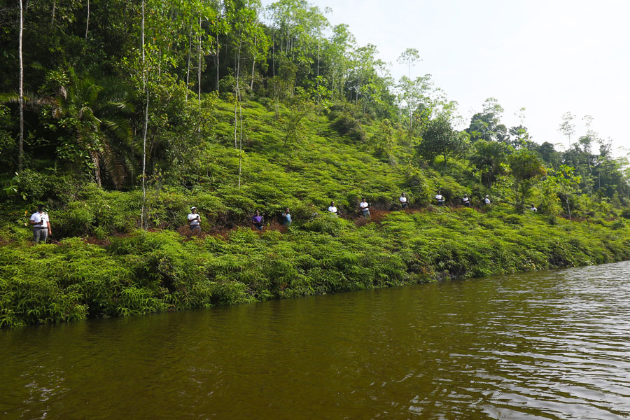 Nations Trust Bank Plants Saplings Across Hiyare Rainforest