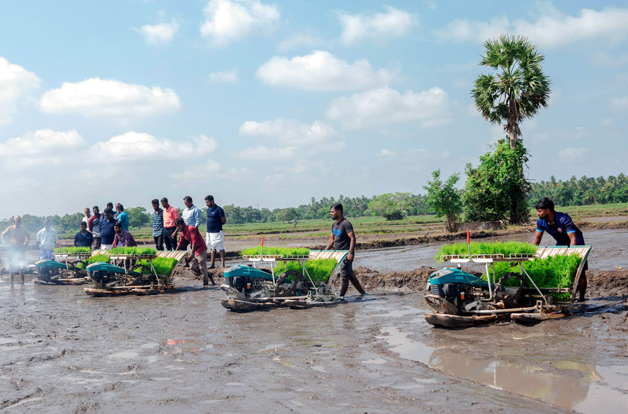 ComBank to take advanced agriculture to Sri Lankan farmers village by village