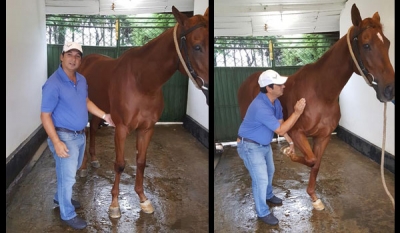 Leading Indian Jockey / Trainer Pesi Shroff Visits Royal Turf Club