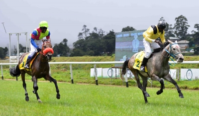 Ladies Day at the Royal Turf Club Ends on a High !