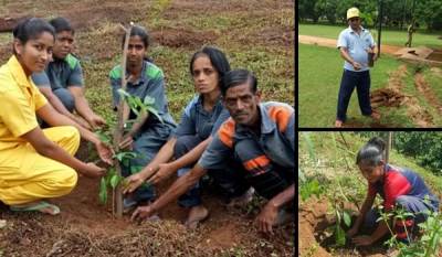 CRYSBRO gears up to launch Sri Lanka’s first alternative energy system fuelled by chicken litter